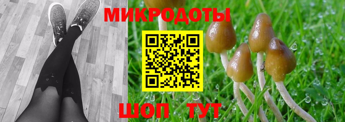 Галлюциногенные грибы Psilocybe  Псилоцибиновые грибы GOLDEN TEACHER  Вход с VPN  Глазов 
