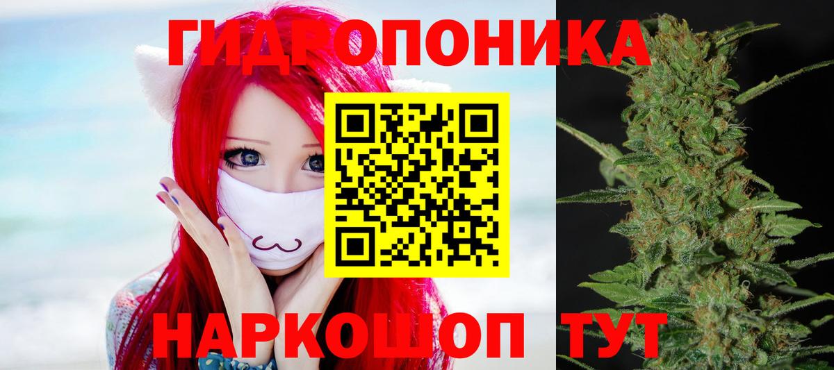Глазов  Каннабис марихуана  Бошки марихуана сатива  Вход с VPN  МАРИХУАНА SATIVA & INDICA  Бошки Шишки индика 